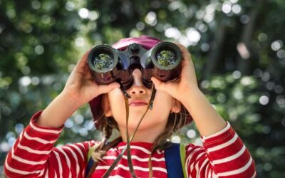 Looking for Patent Counsel? Do your homework.